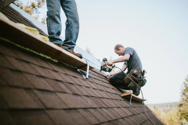 Roof Gutter Cleaning in Sullivan, MO